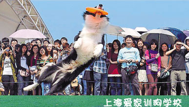 勛龍智造